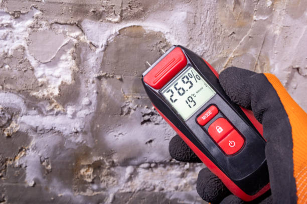 Best Attic Mold Removal  in Alma, MI