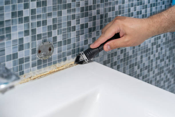 Best Best Mold Removal Companies  in Alma, MI