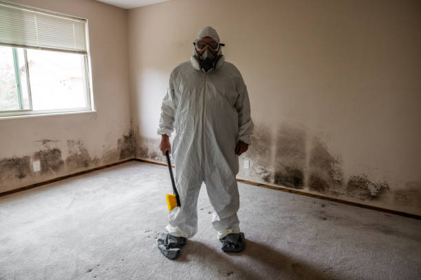 Best Emergency Mold Removal  in Alma, MI
